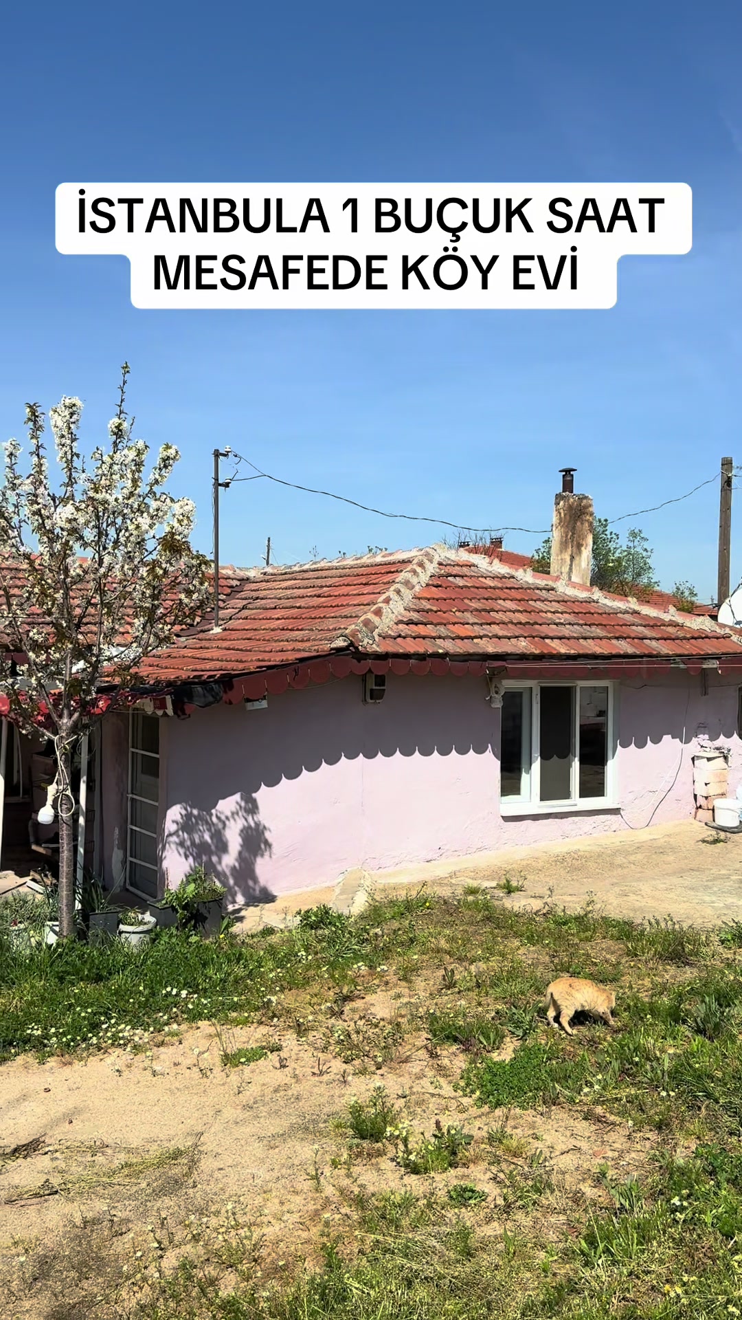 @Üçer Emlak