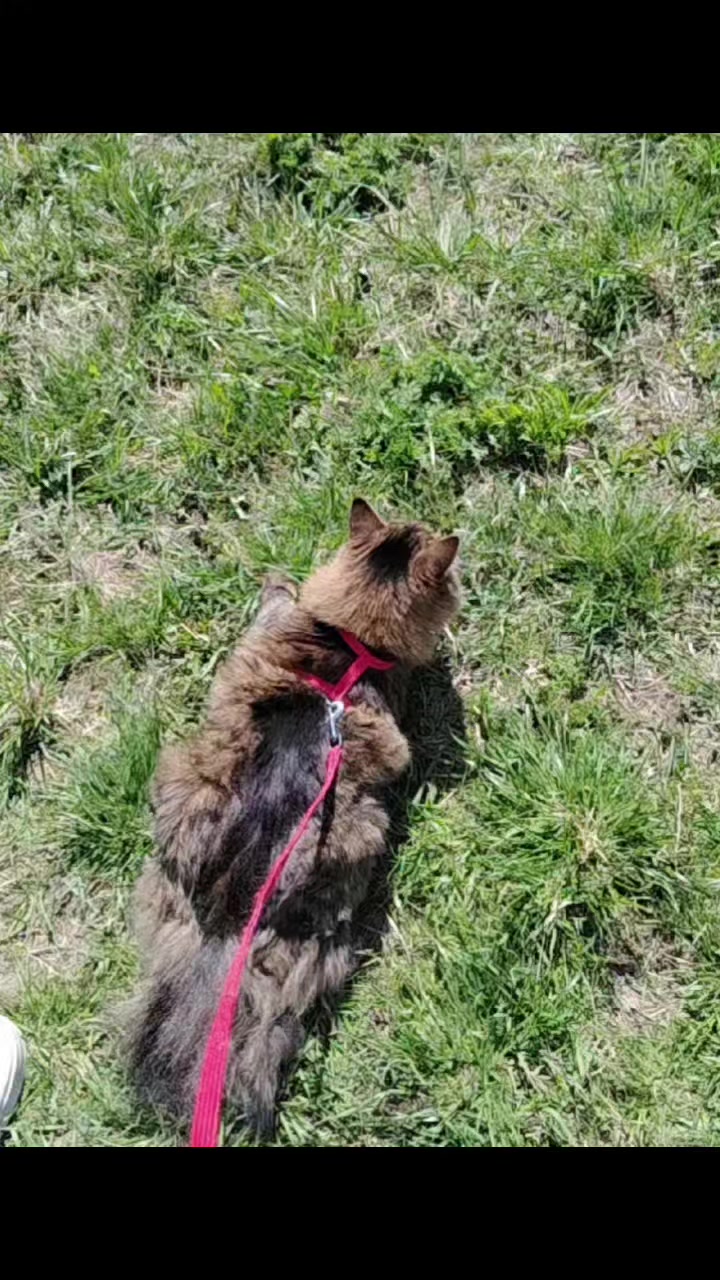 @Марсик😺💖