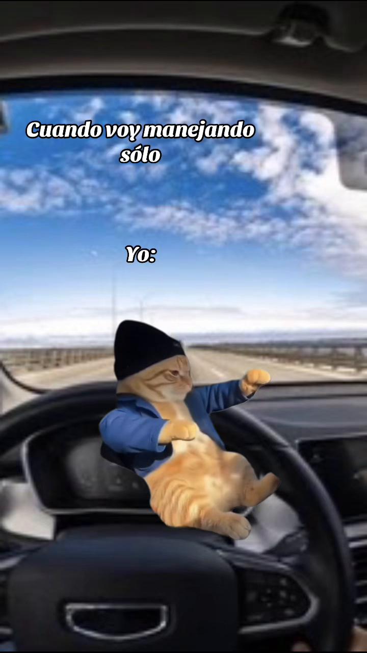 @Arkaiko