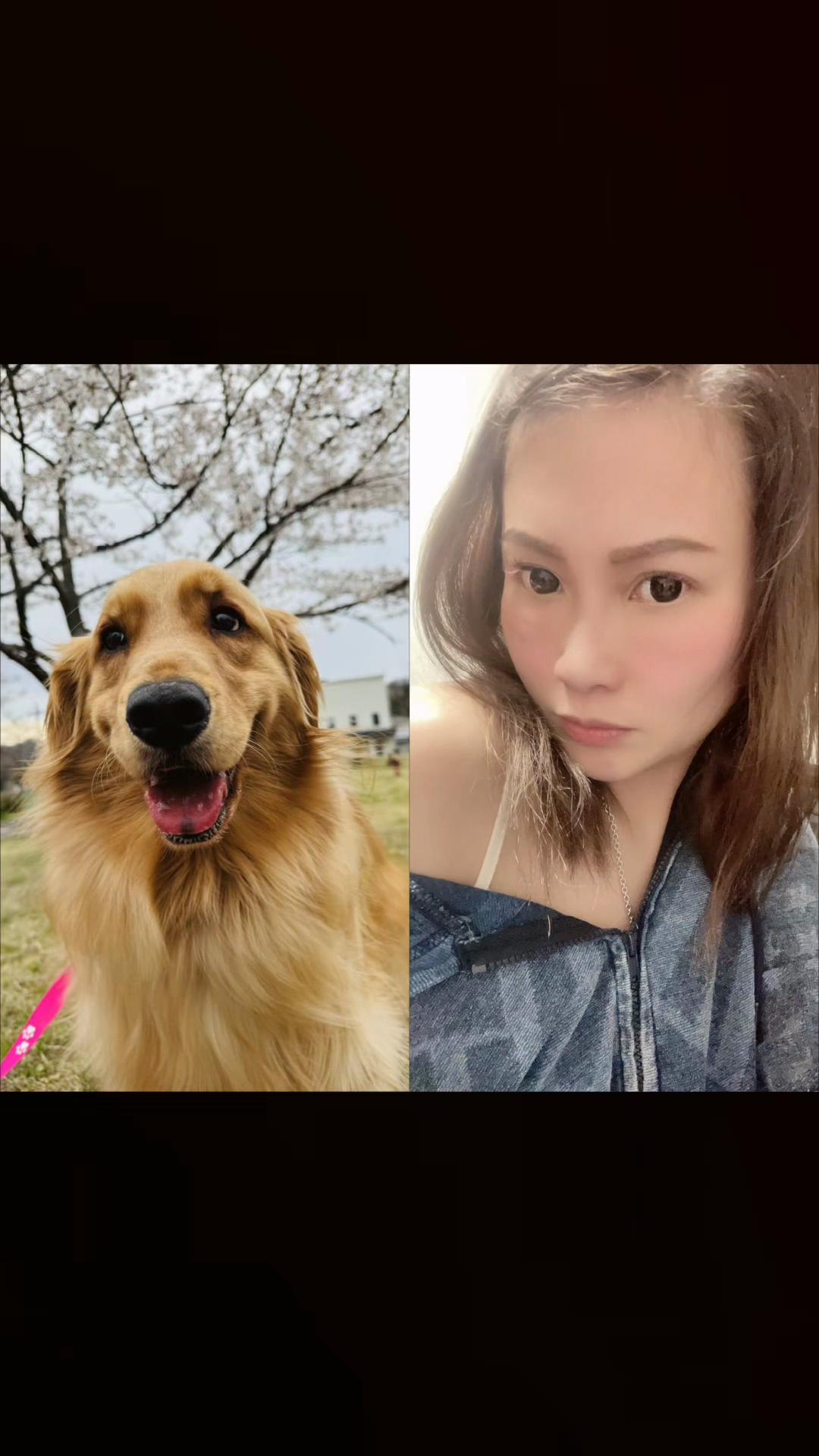 @ACIKA🇯🇵🇲🇨MOMO🍑🐶
