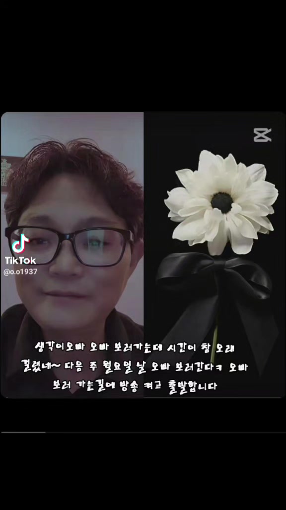@🦋⃟   좋은백사자🦋⃟○🎤