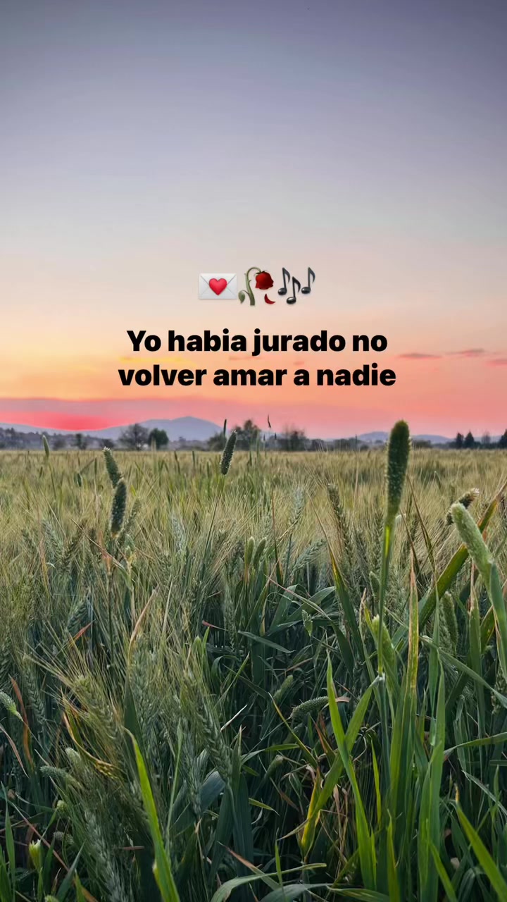 @lcia_65