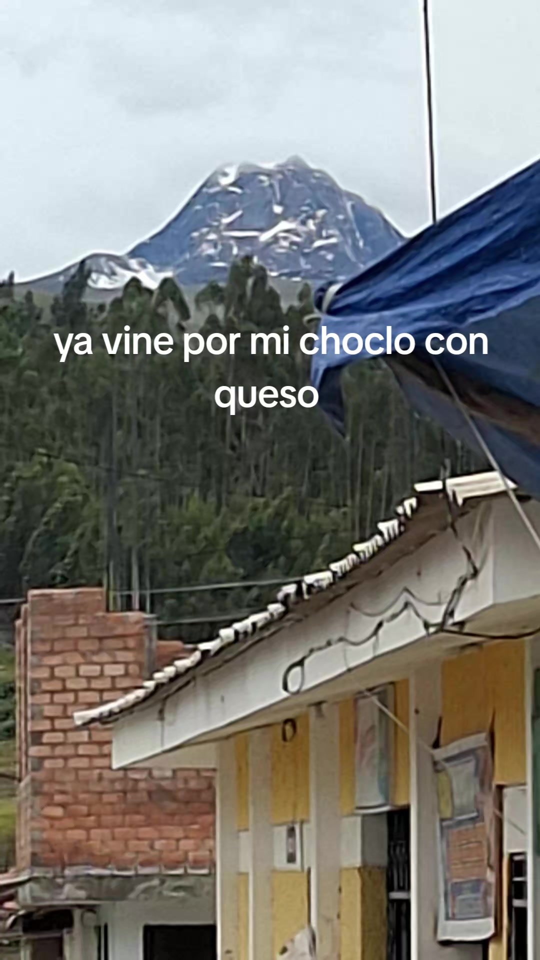 @Vera✨️