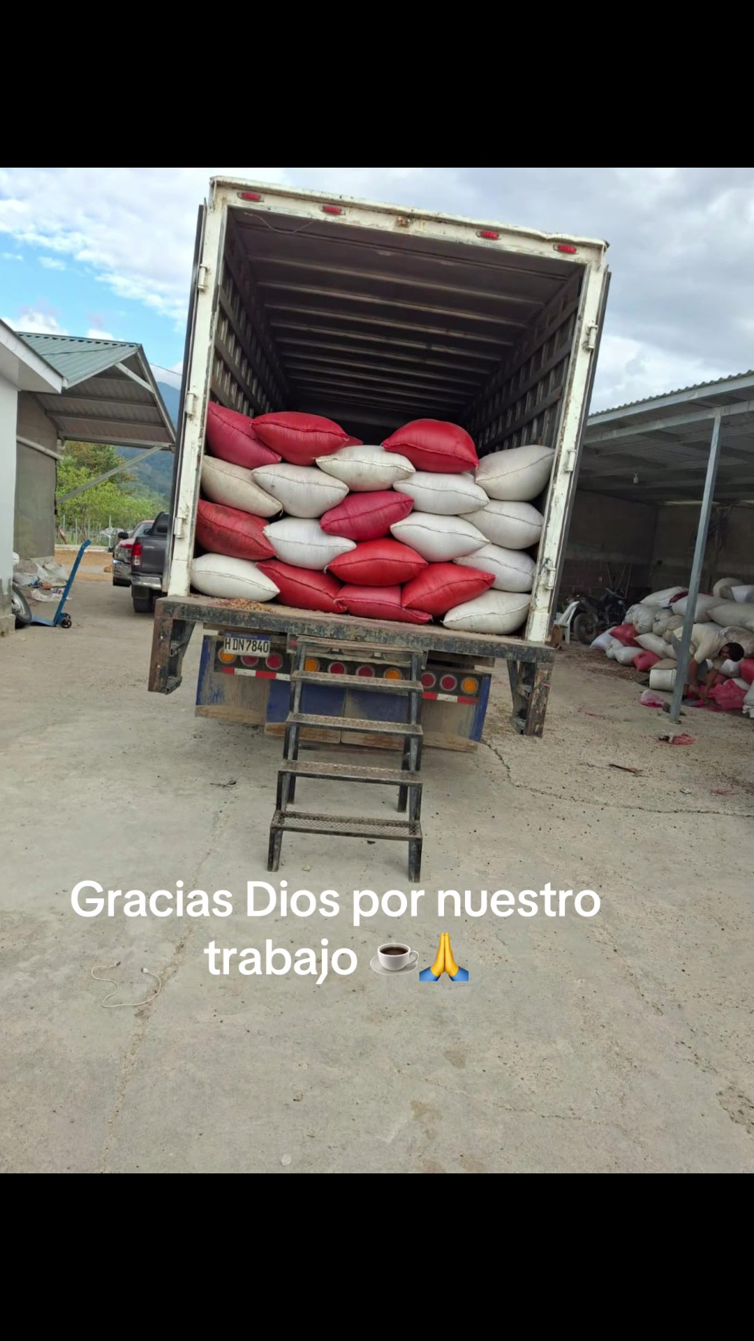 @Alex Guill&eacute;n 1989