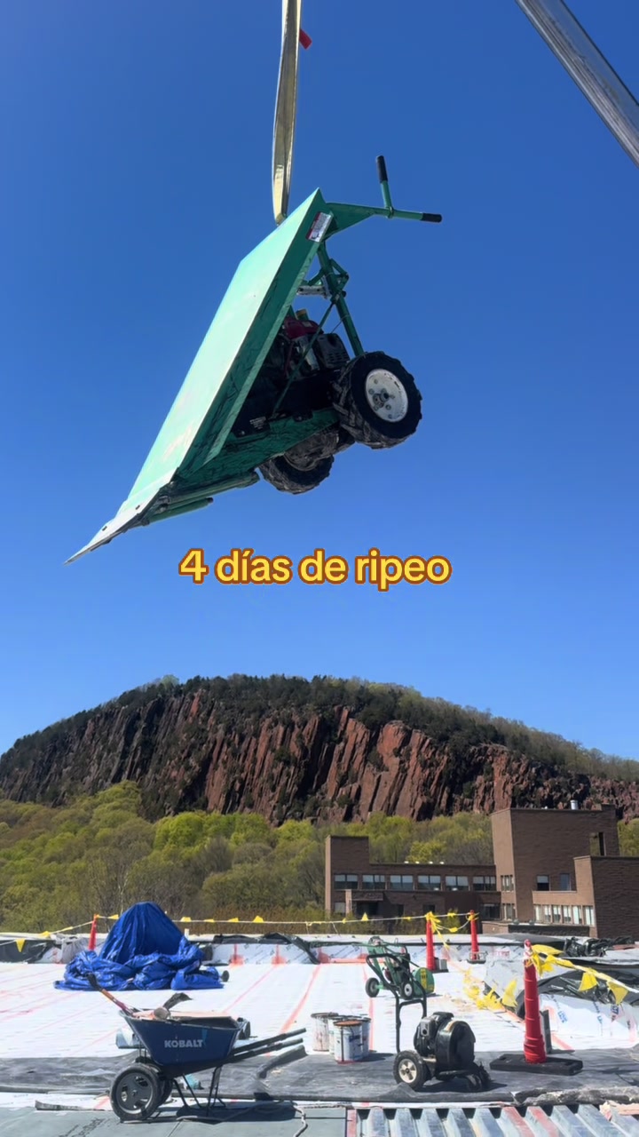@heber roofer