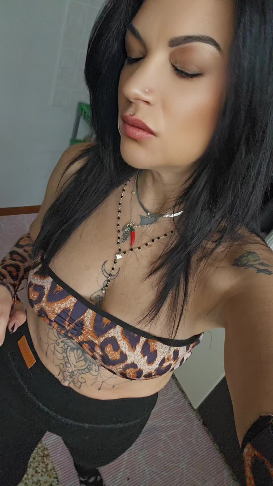 @17🐯🅶🆄🅴🆁🆁🅸🅴🆁🅰🐯17