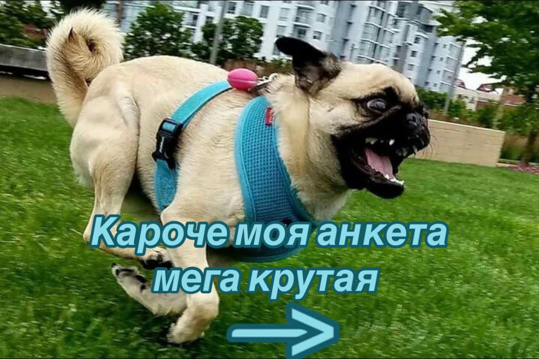 @Райшайт⁴¹³