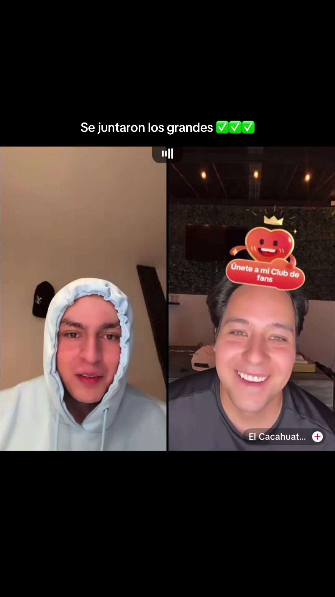 @Clip_🐿️🐿️