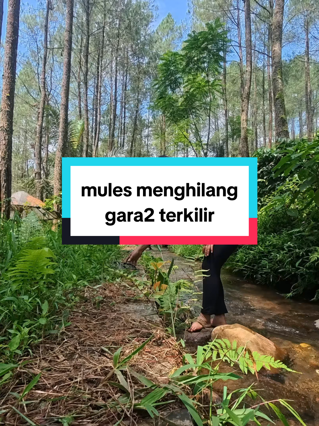 @enobrot2