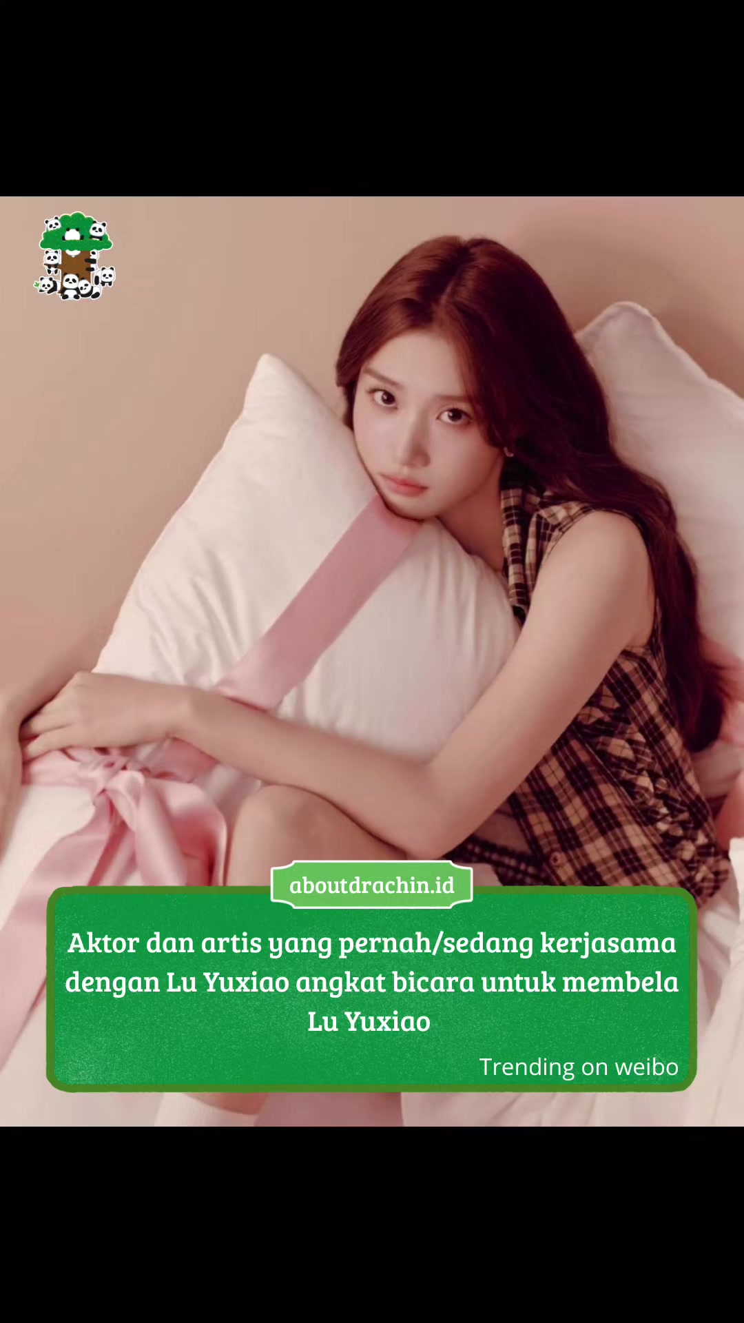 @About Drachin || Jastip