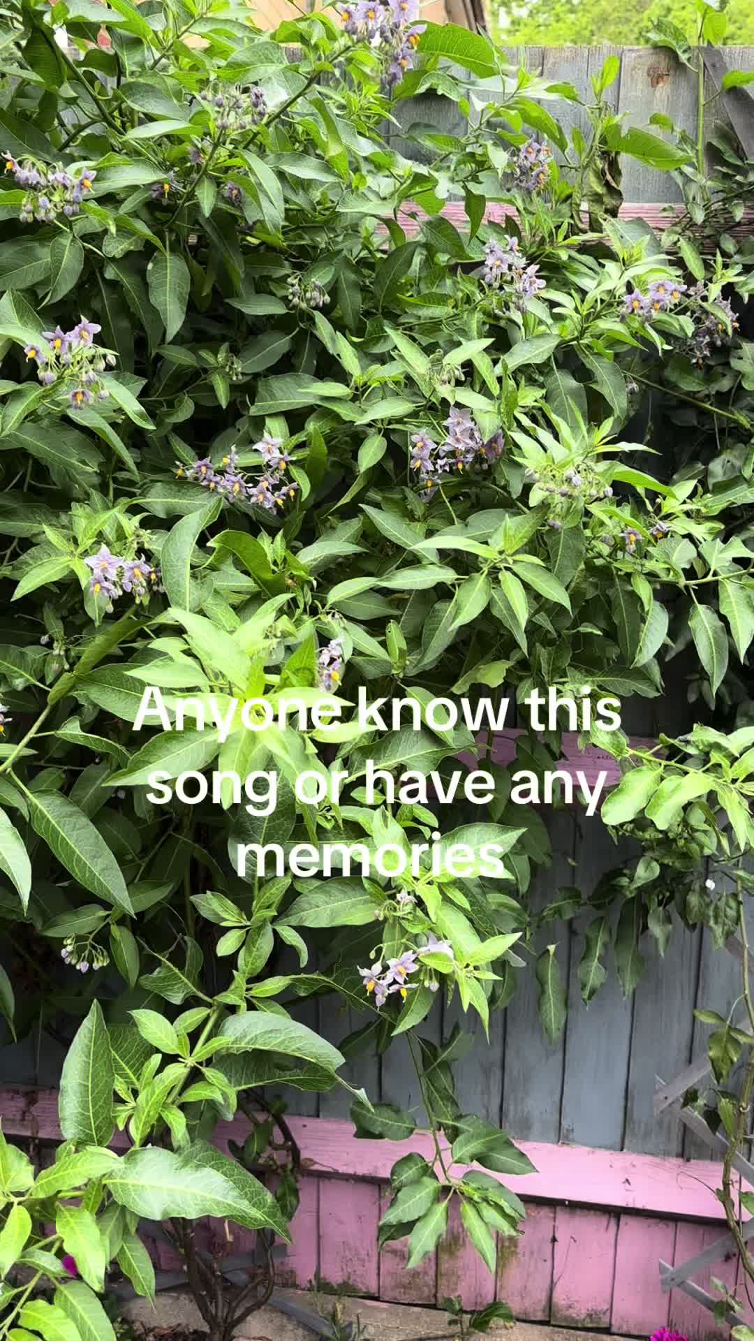 @NannyMelly