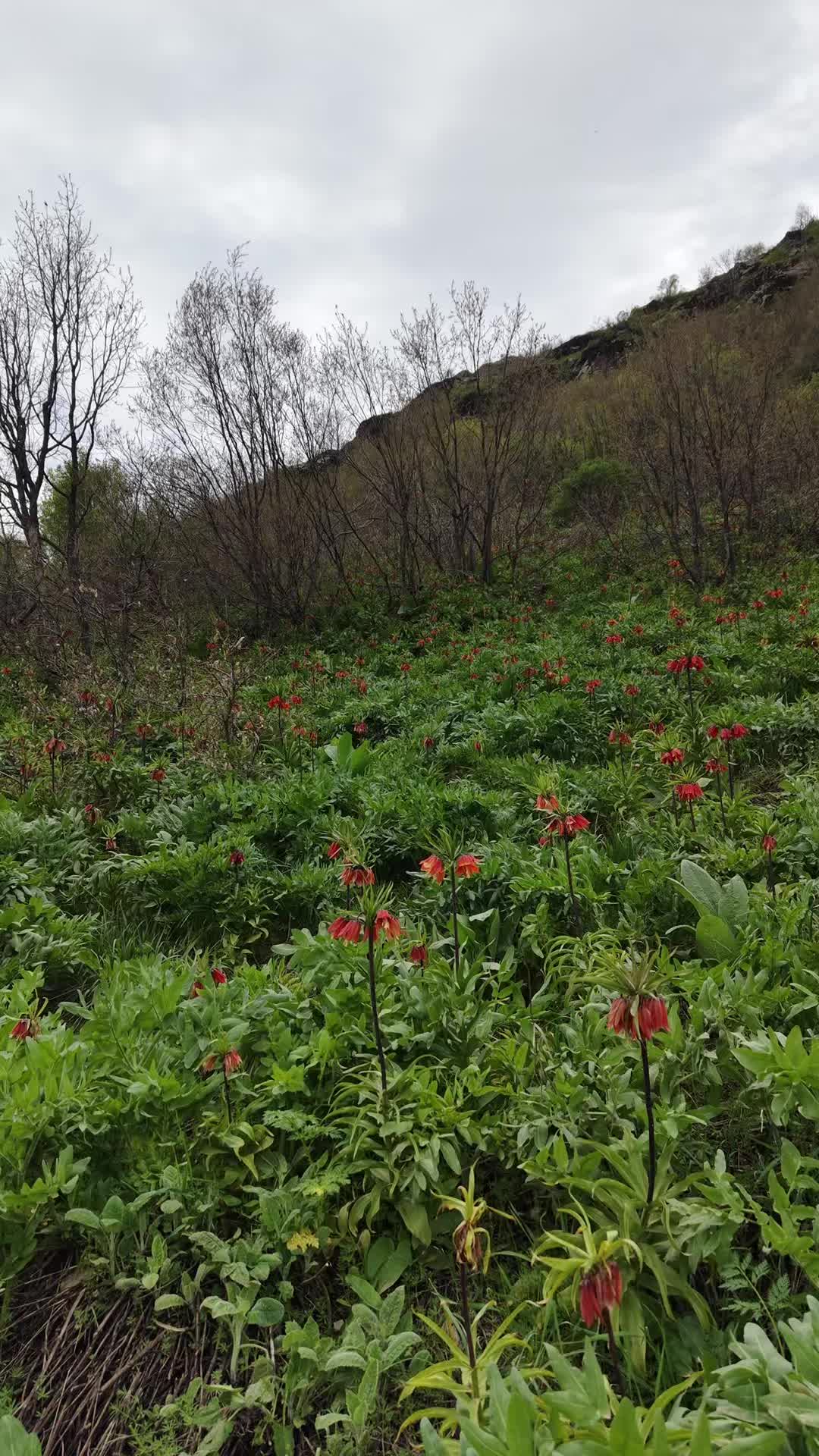 @refiktekin4