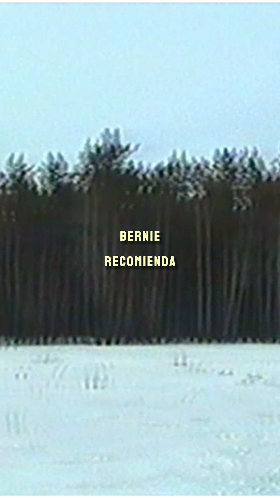 @berniethebernal