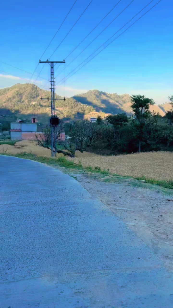 @شیرزمین