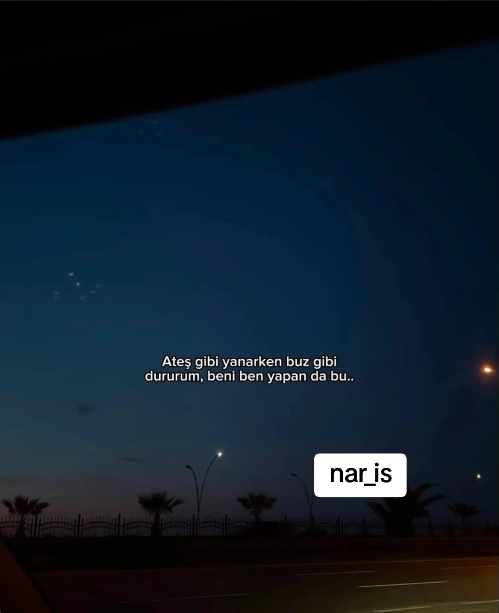 @Nar_Is♈