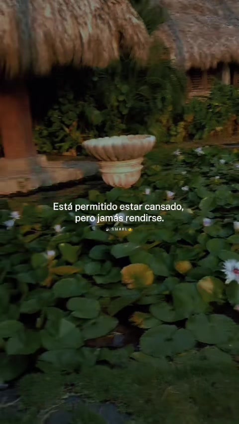 @David 🇪🇨🇺🇸