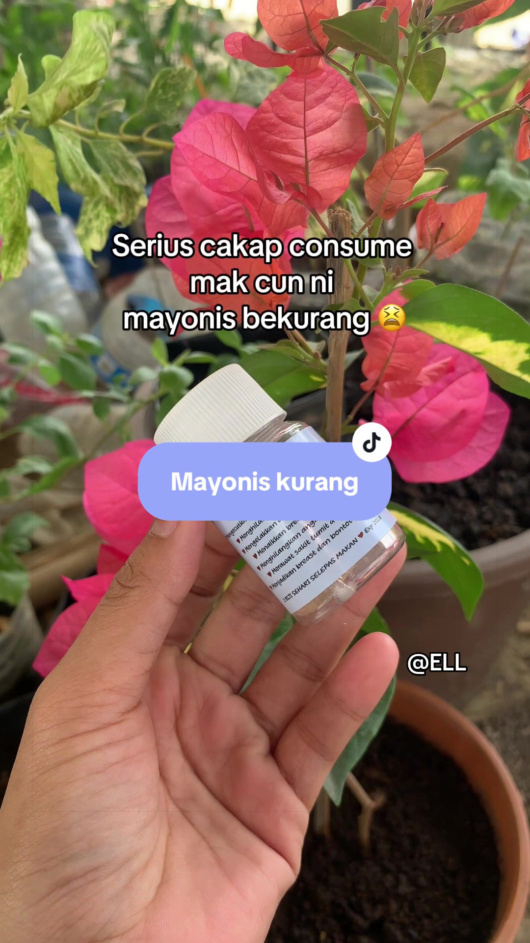 @L ' L E Y
