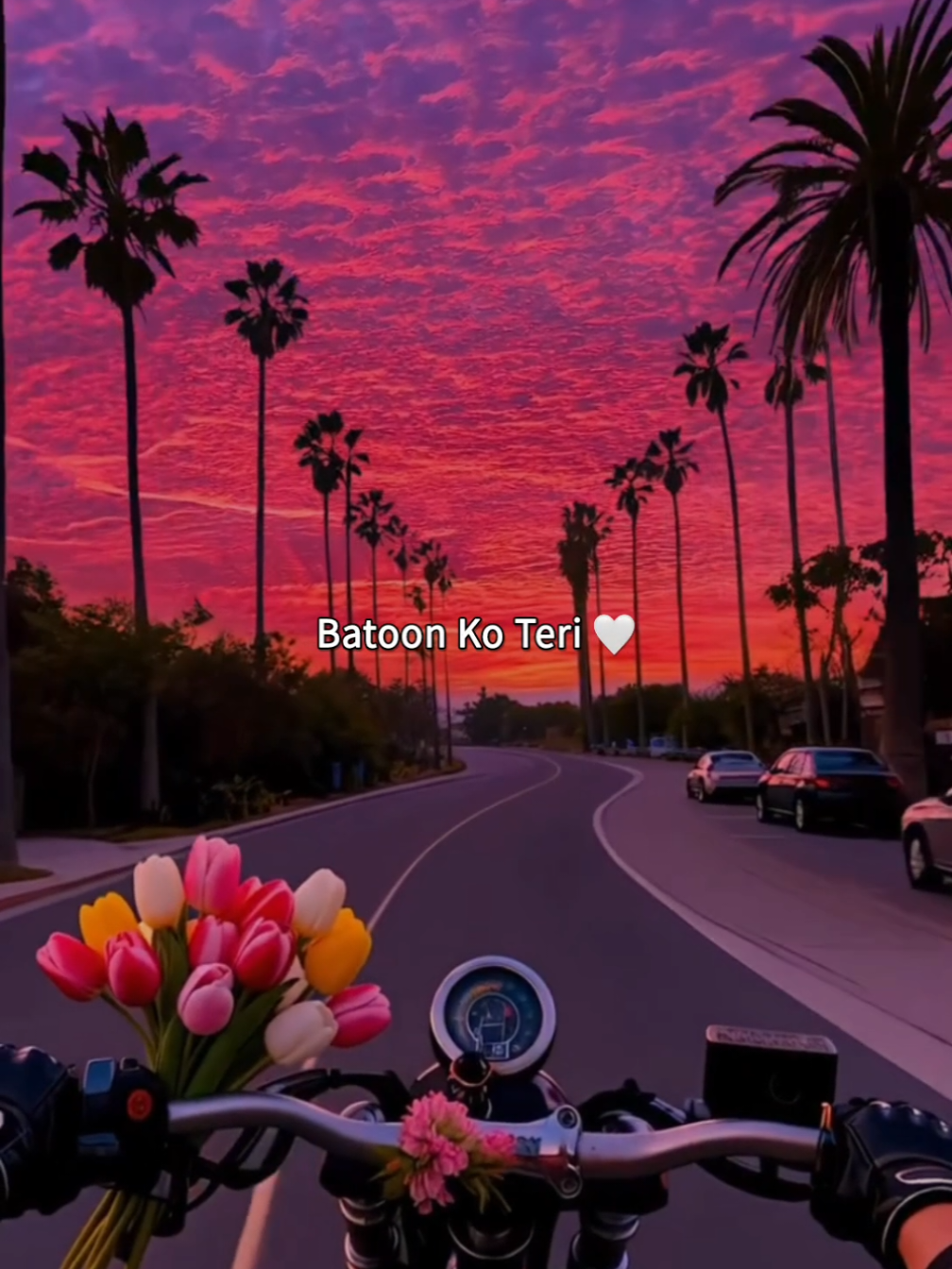 @𝗠𝗶𝗱𝗻𝗶𝗴𝗵𝘁 𝗦𝗼𝘂𝗹 🌙