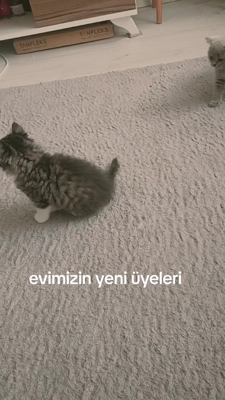 @Nurg&uuml;l