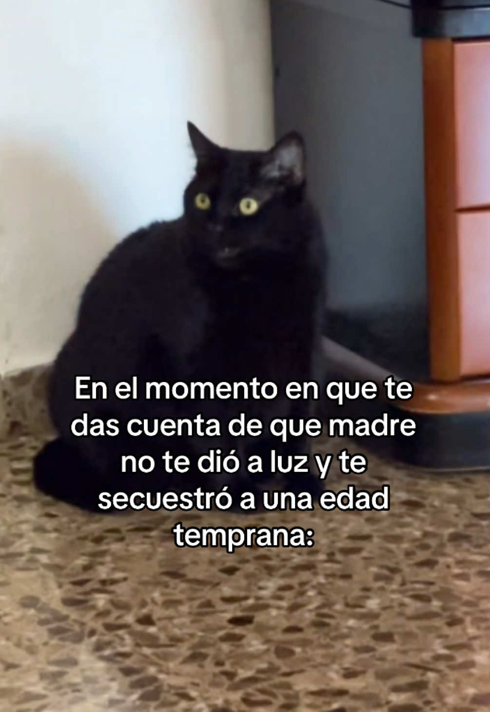 @BlackCatsMatter