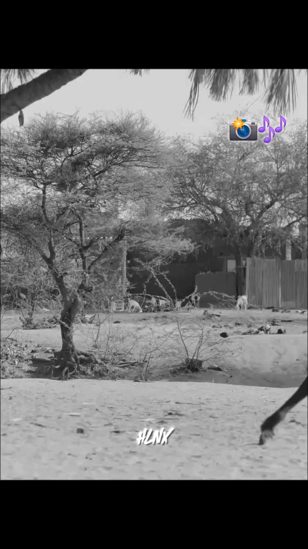 @🦁 _حبيب_جان_🦁