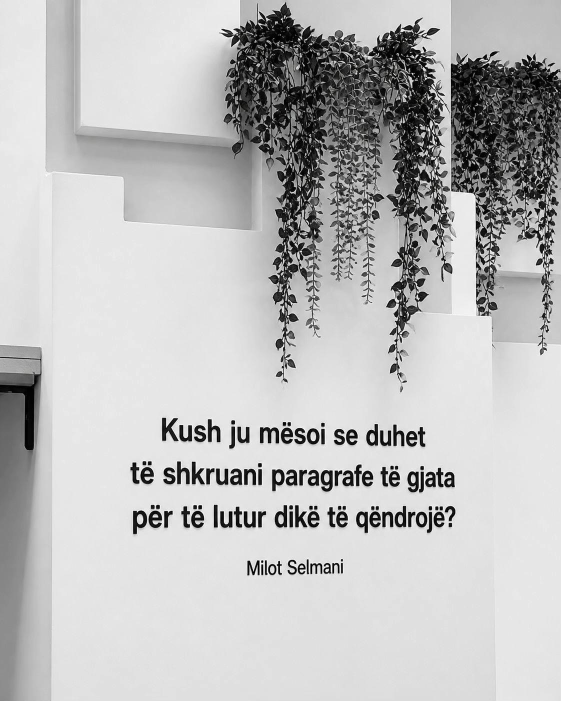 @milotselmani