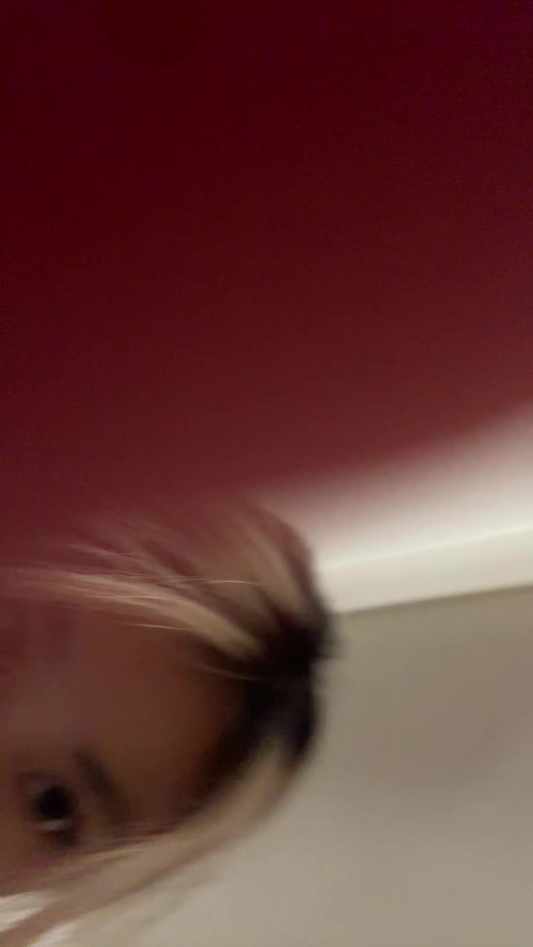 @sanzufucker