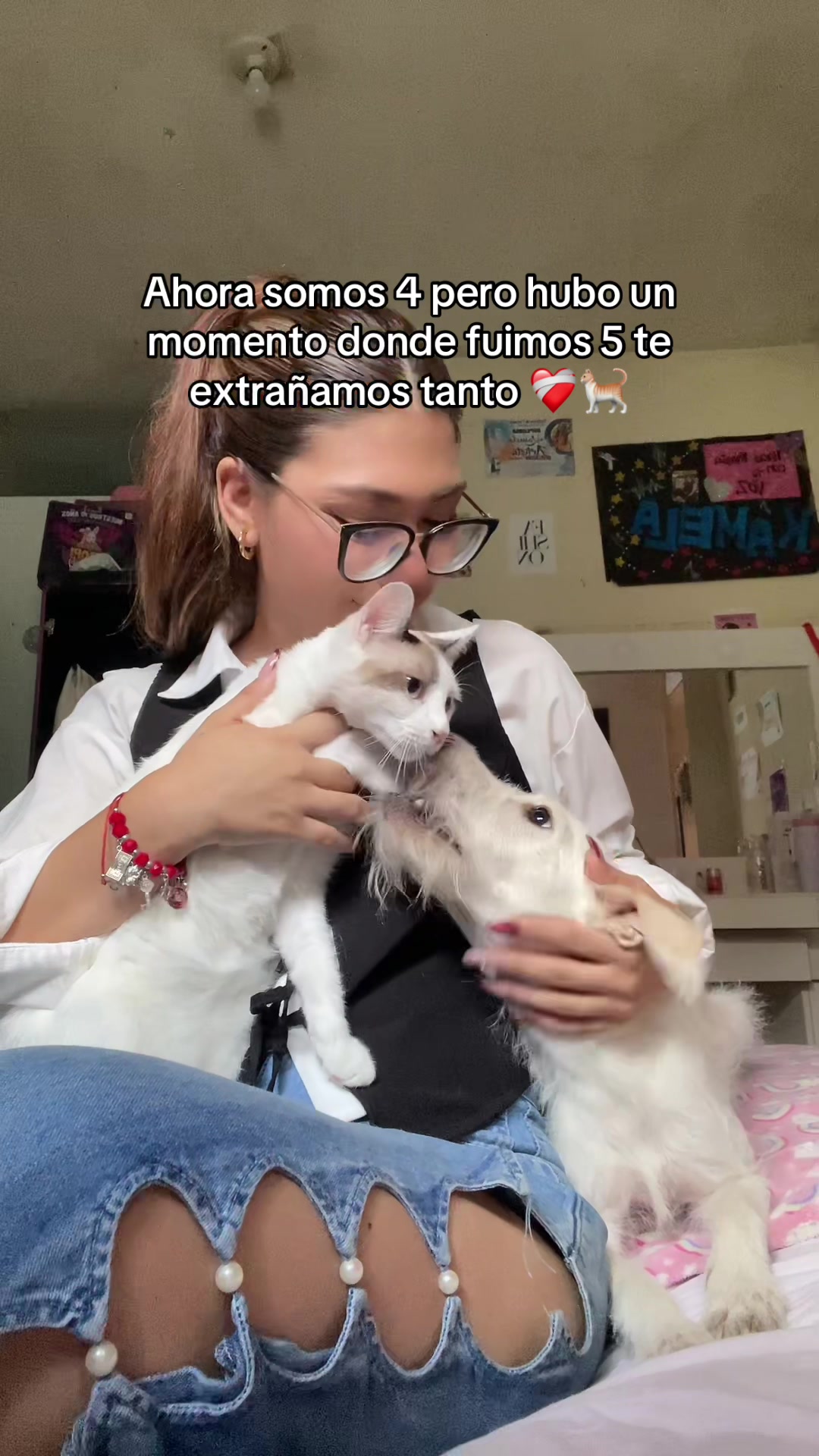 @KAMELA