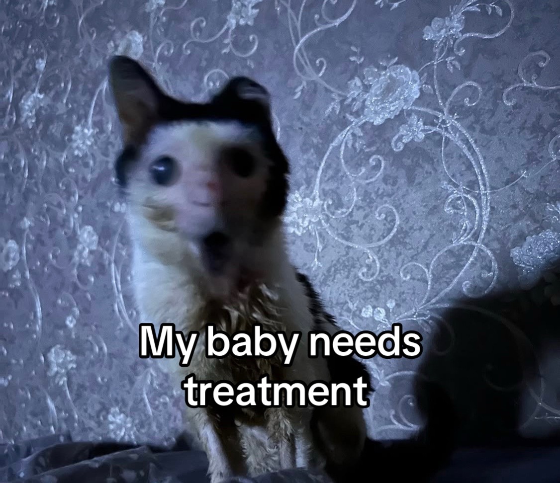 @wemakerescues