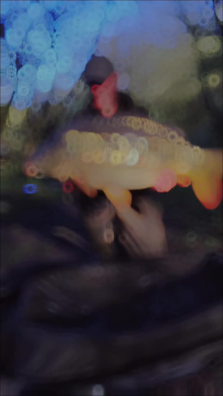 @stottys fishing official