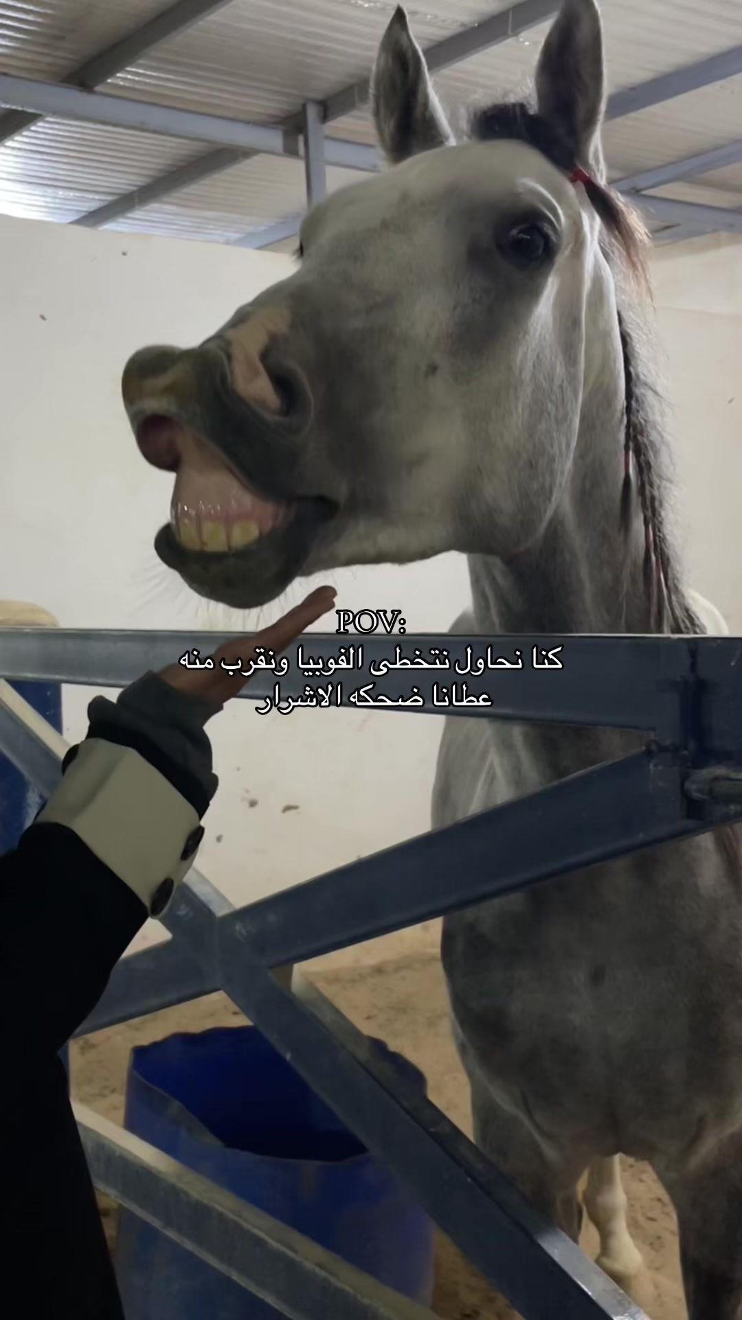 @يوش الآسمري🤎.
