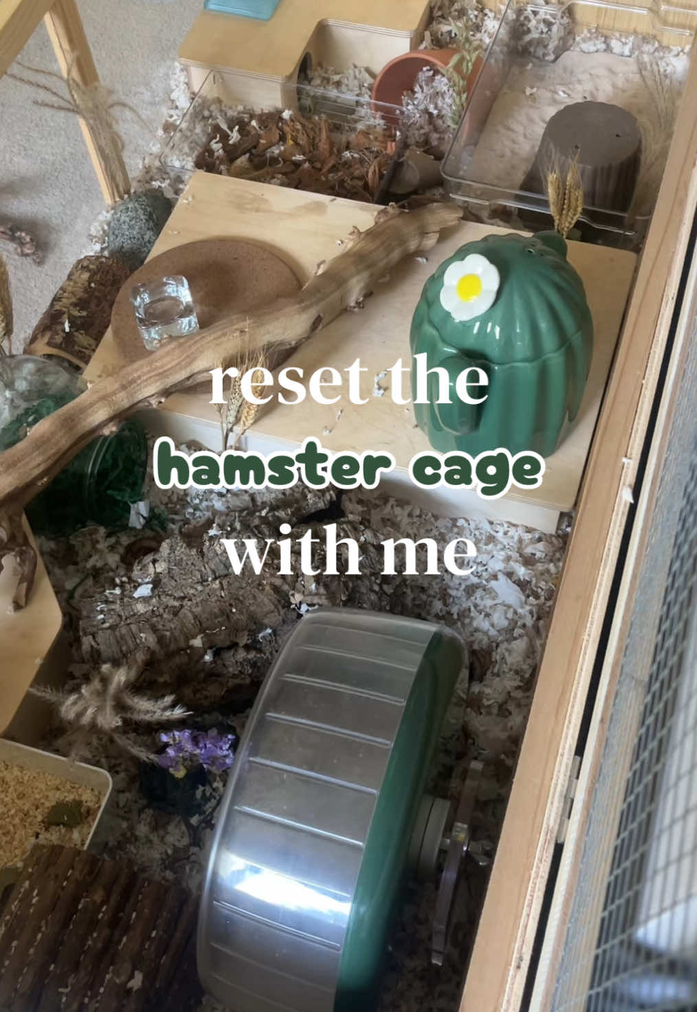 @ɪꜱʟᴀ