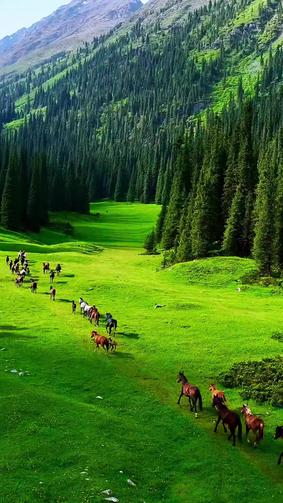 @Beautiful Earth