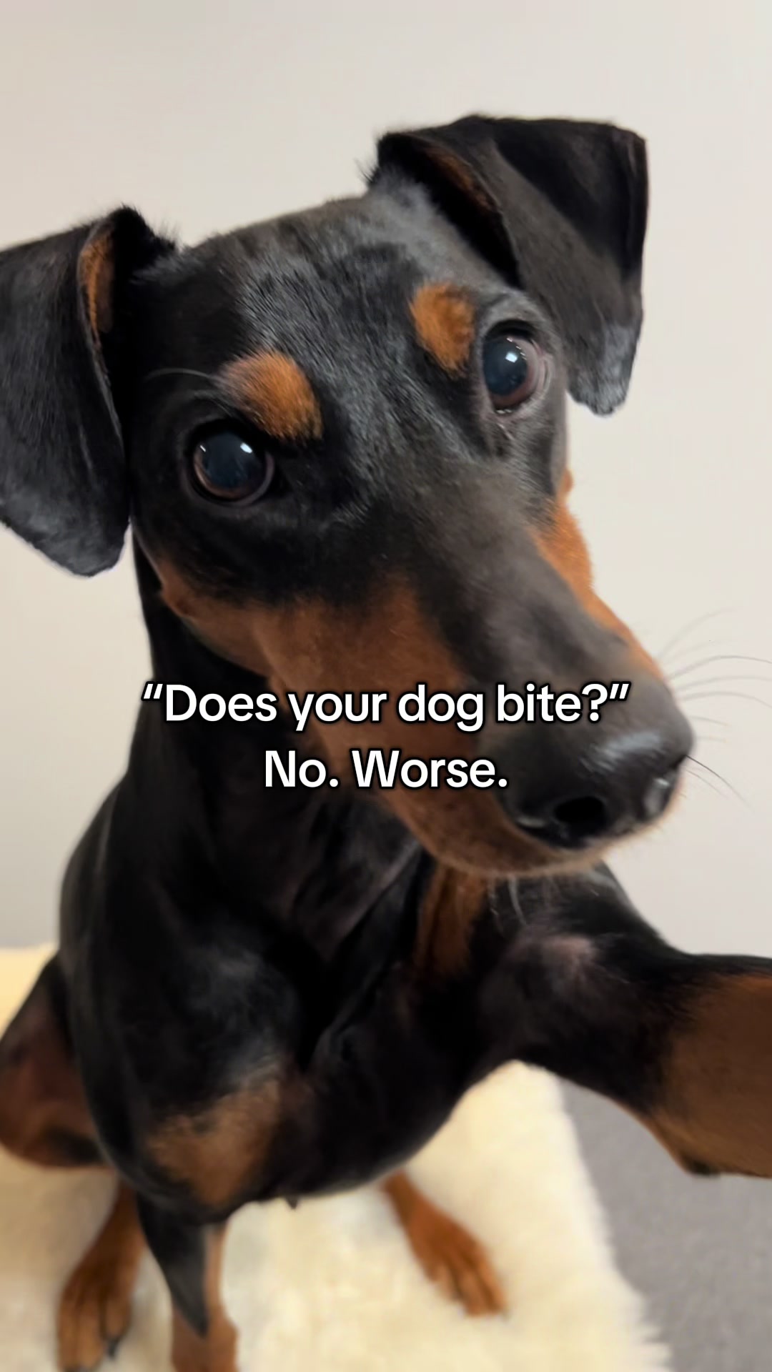 @AlvaTheHotDog
