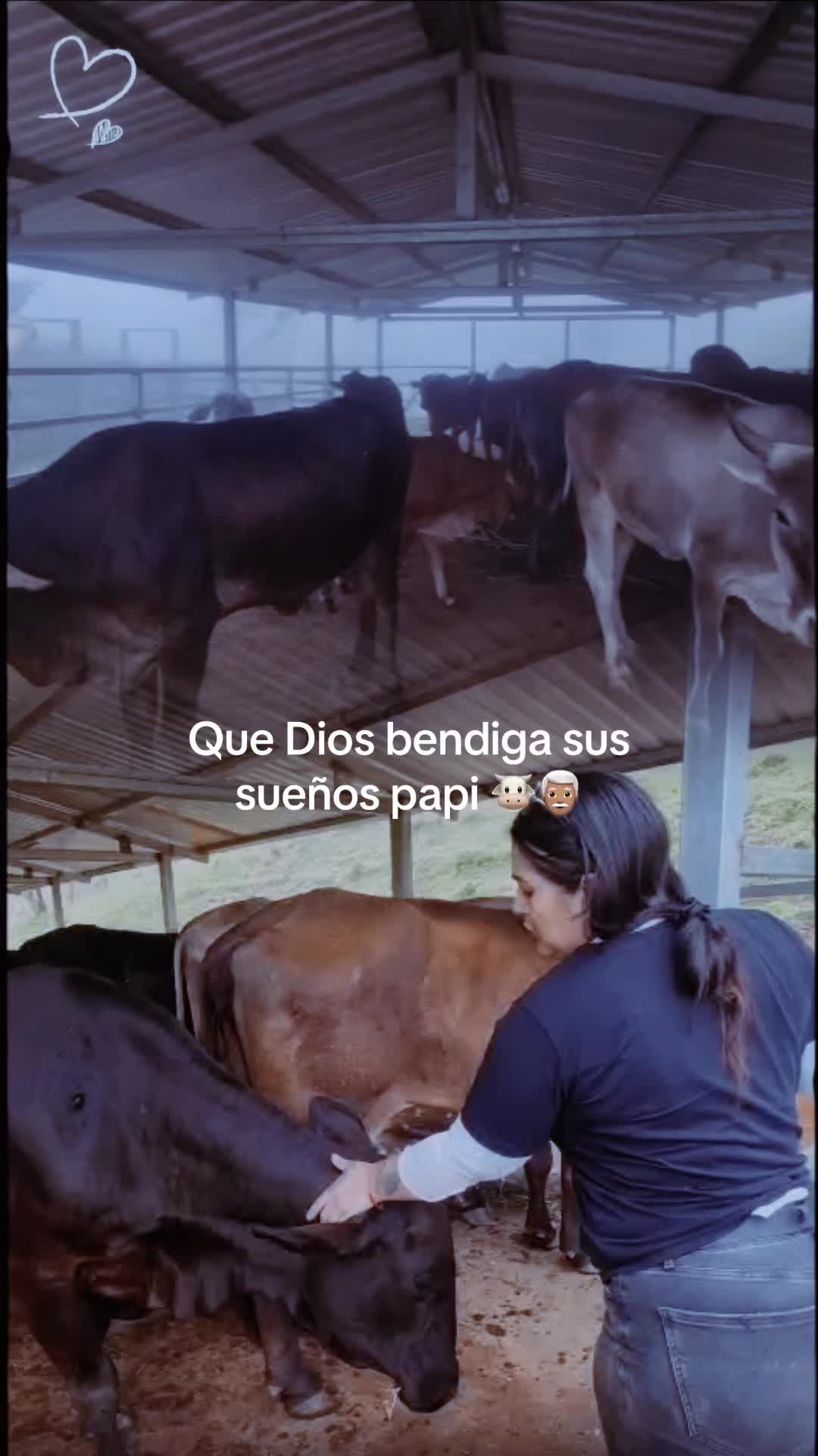 @Espinoza Elizabeth