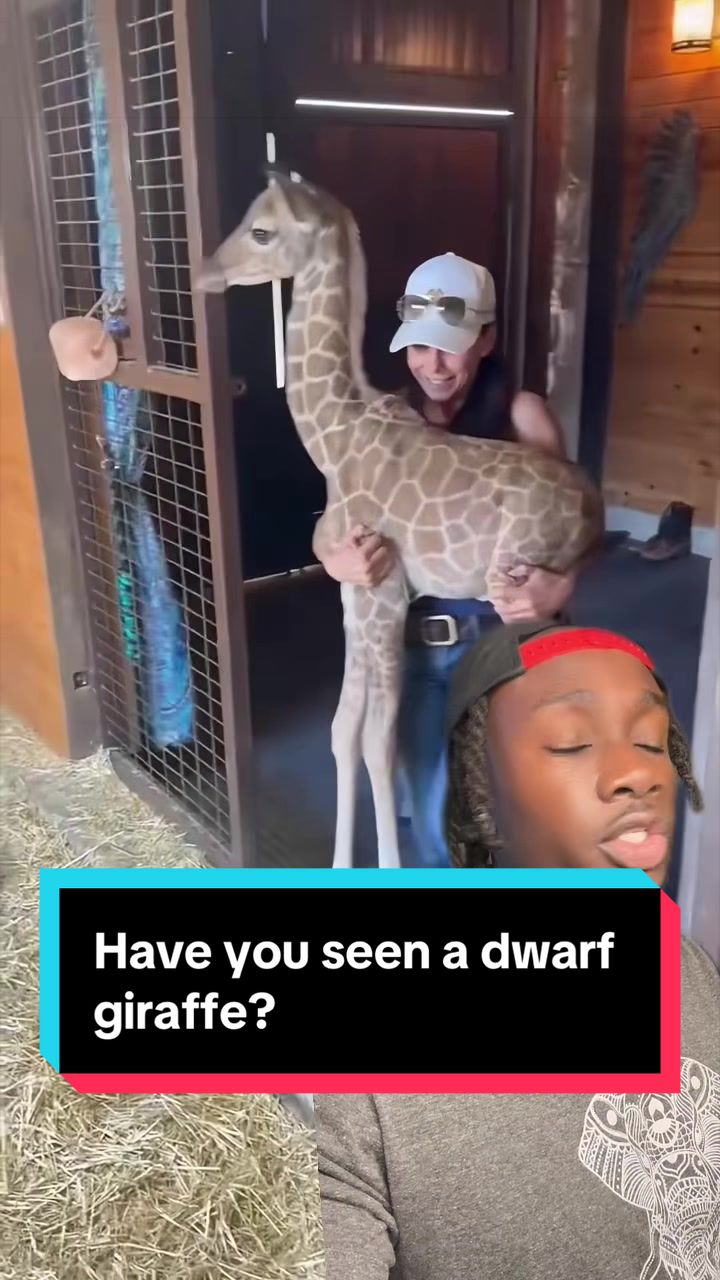 @mndiaye_97