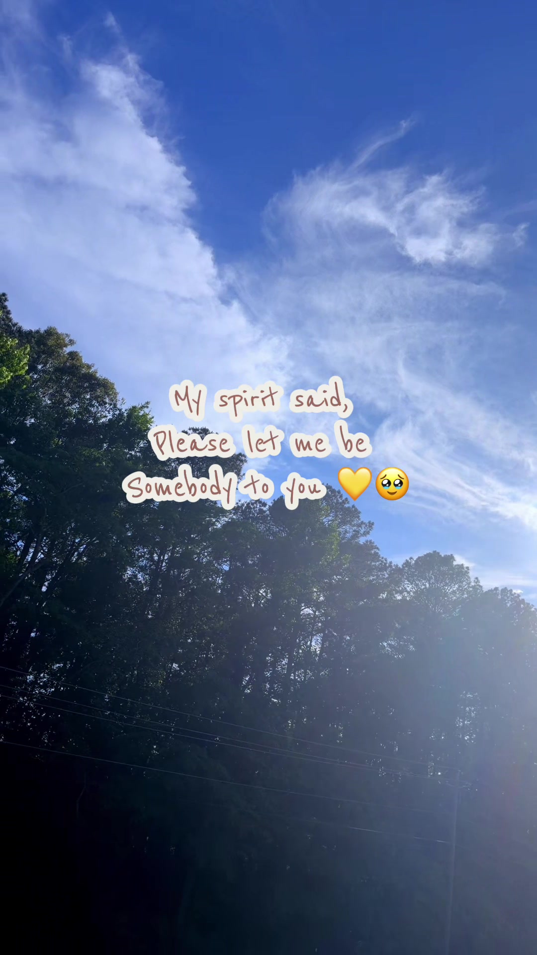 @Sōlar Plexus 💛🌞