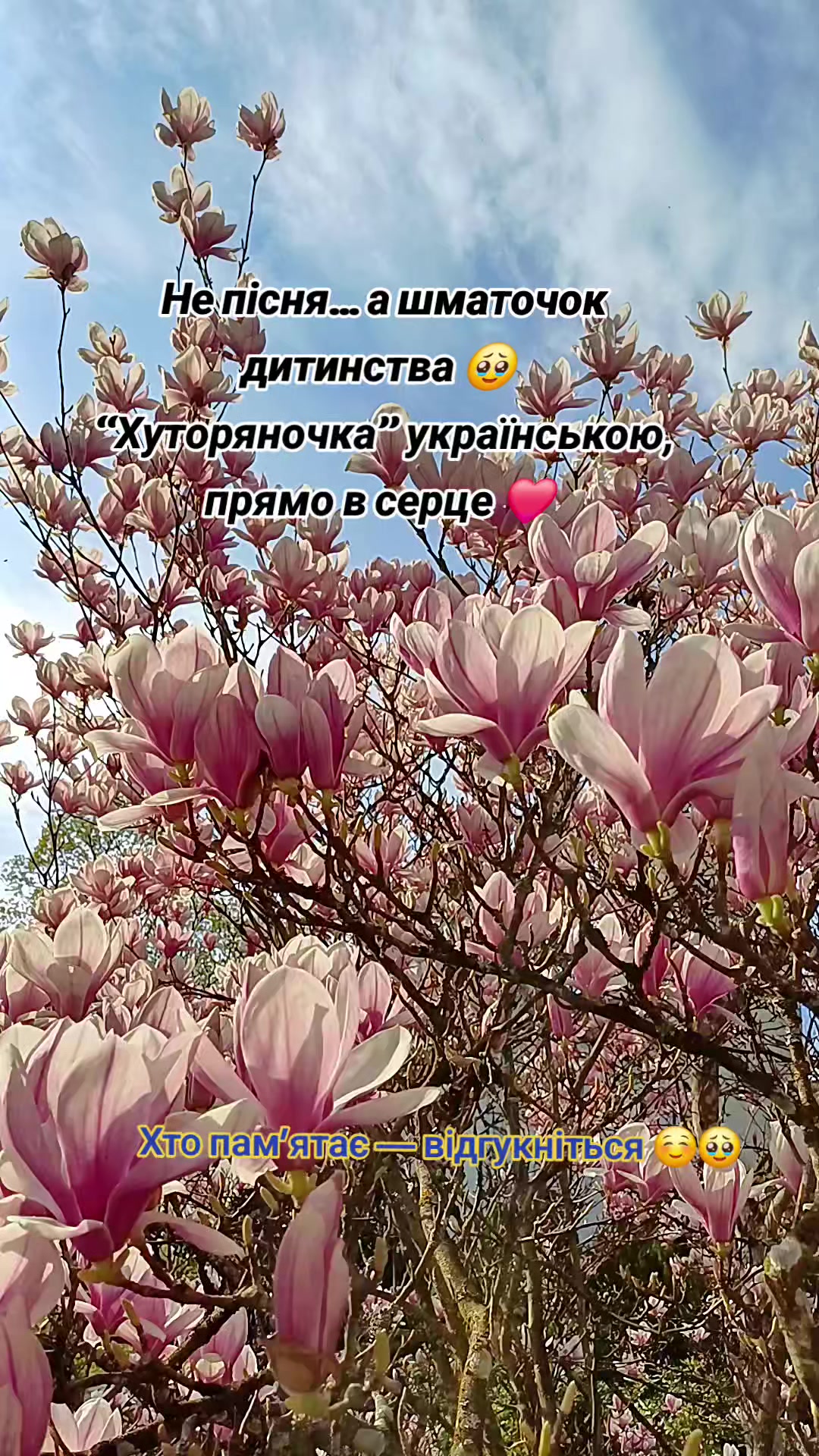 @Nataly