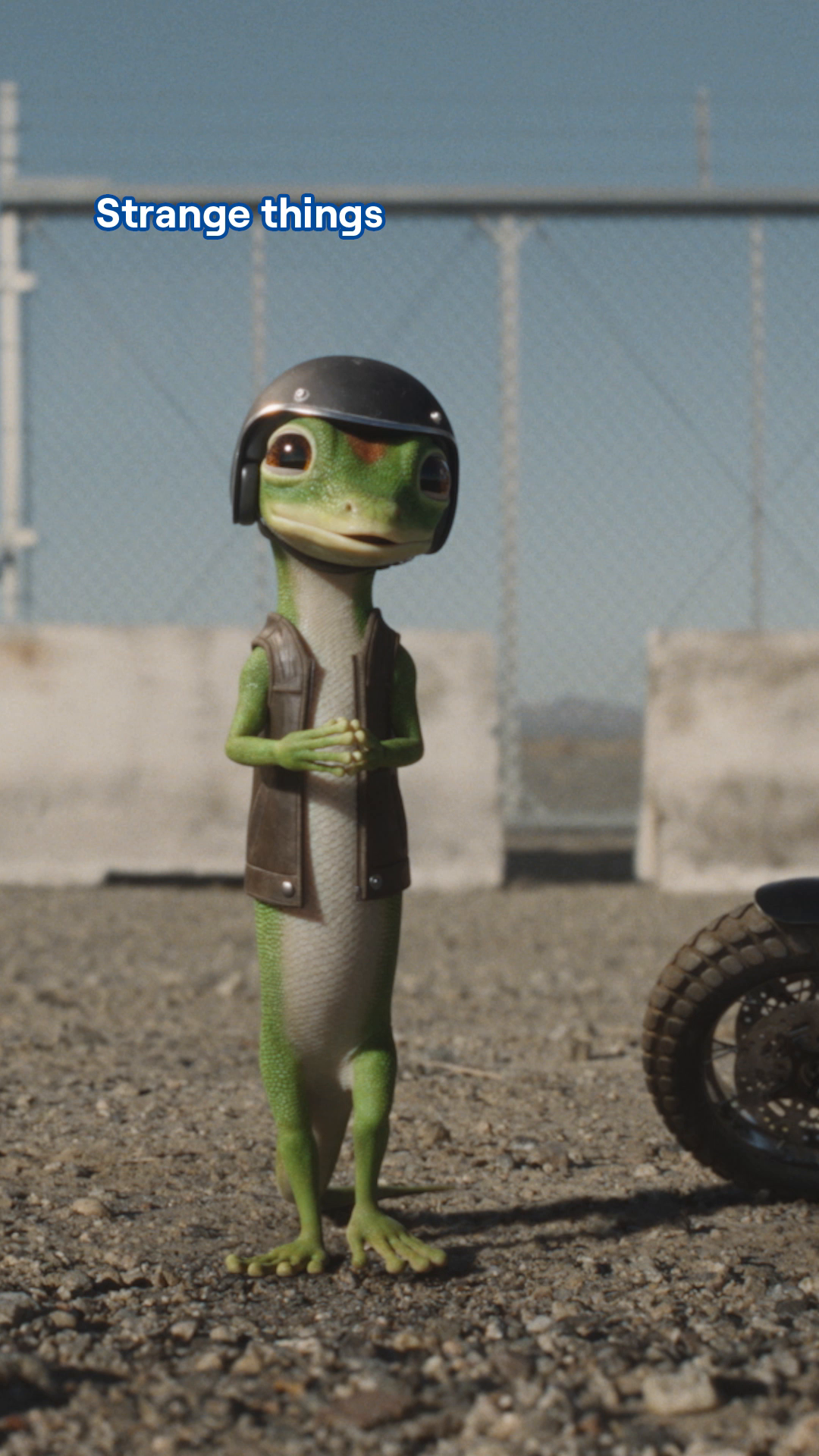 @GEICO