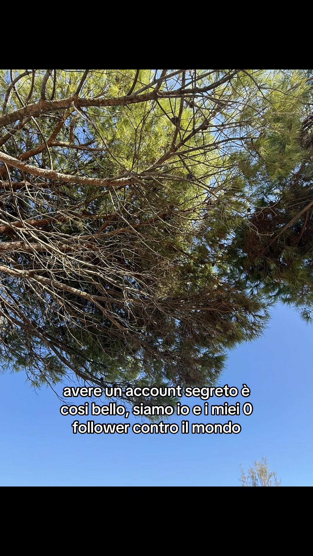 @account_segreto.