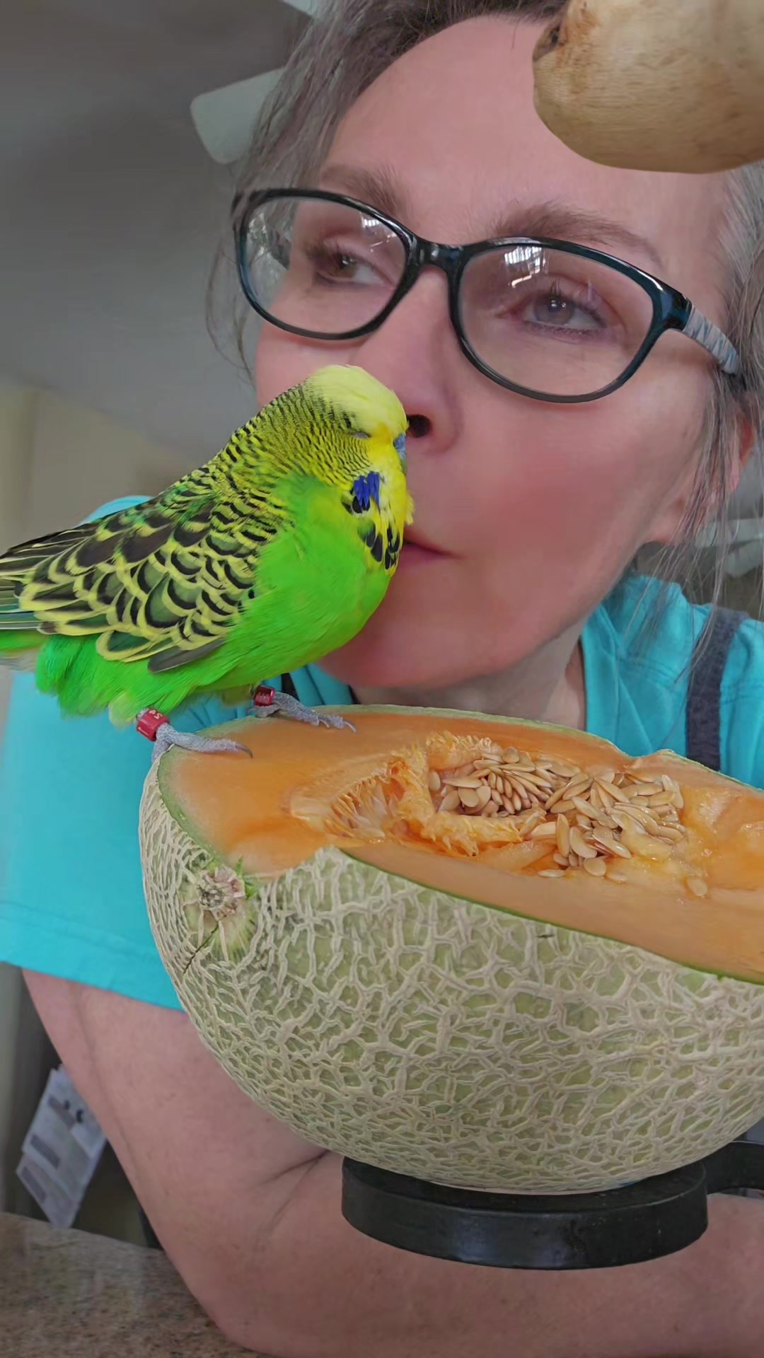 @Run Slow-Mo Charlie🦜