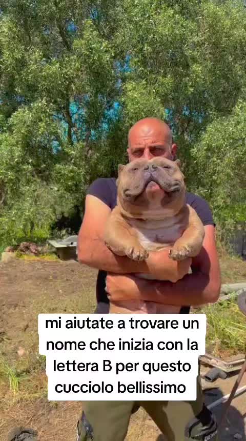@Alfio Arcifa Magistrale