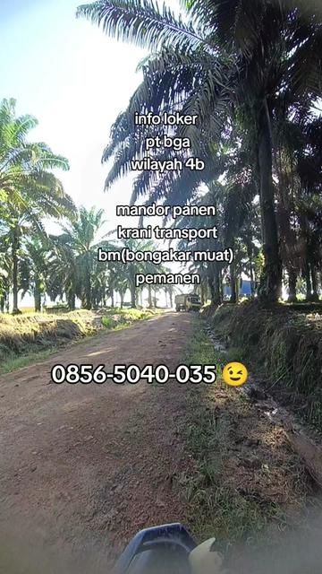 @mbkwatini🌴