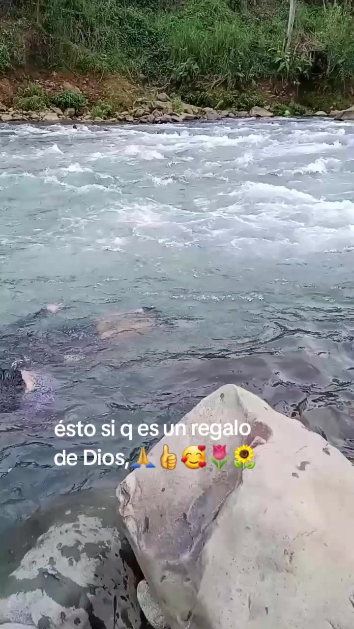 @Pedro Miguel