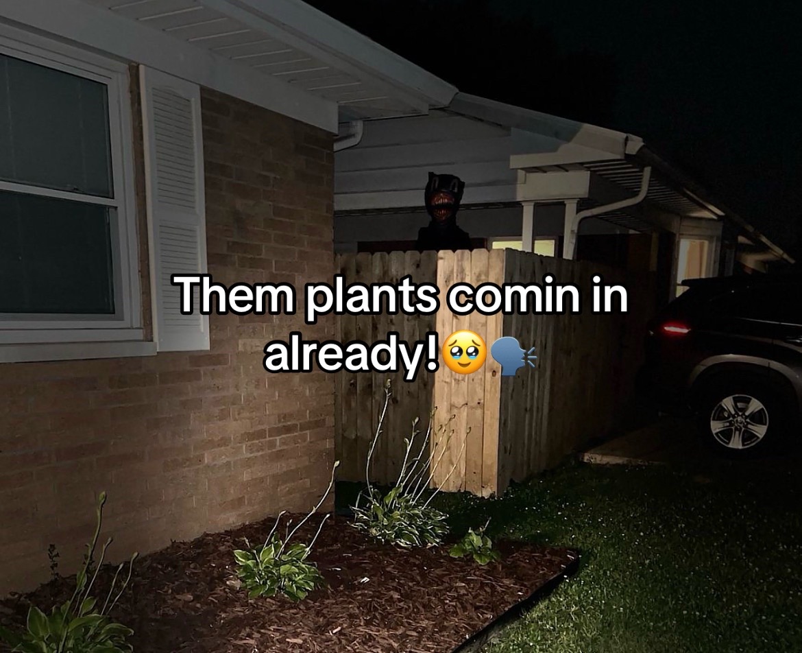 @╬•’𝐓𝒾ⁿ𝖪Y’•╬