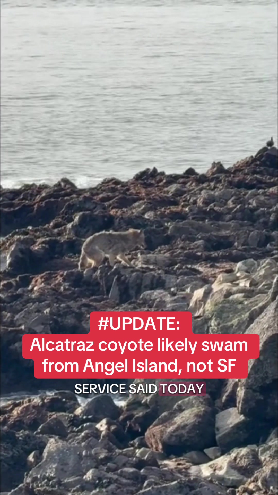 @Audrey | NBC Bay Area News