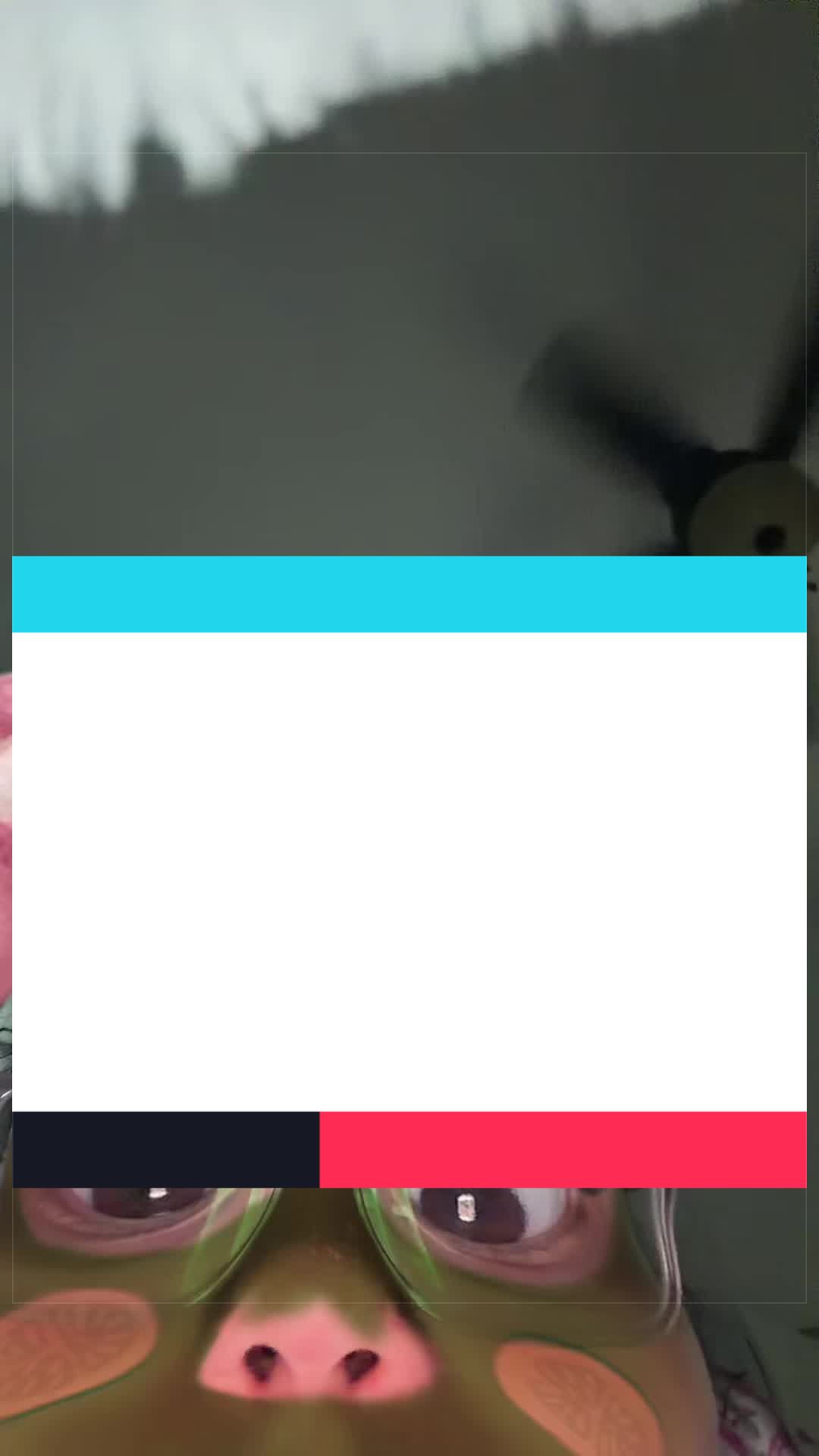 @🤡
