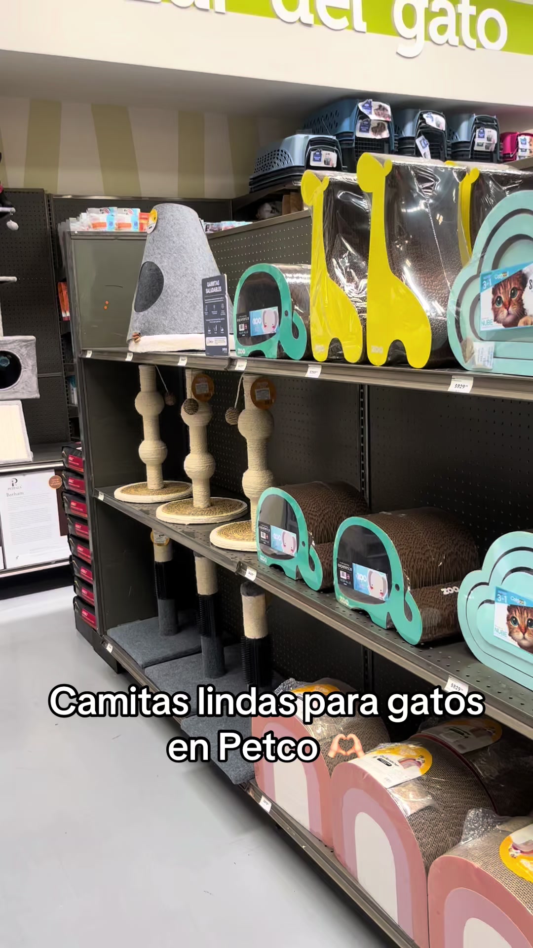 @Cosas de mis gatos 🐱
