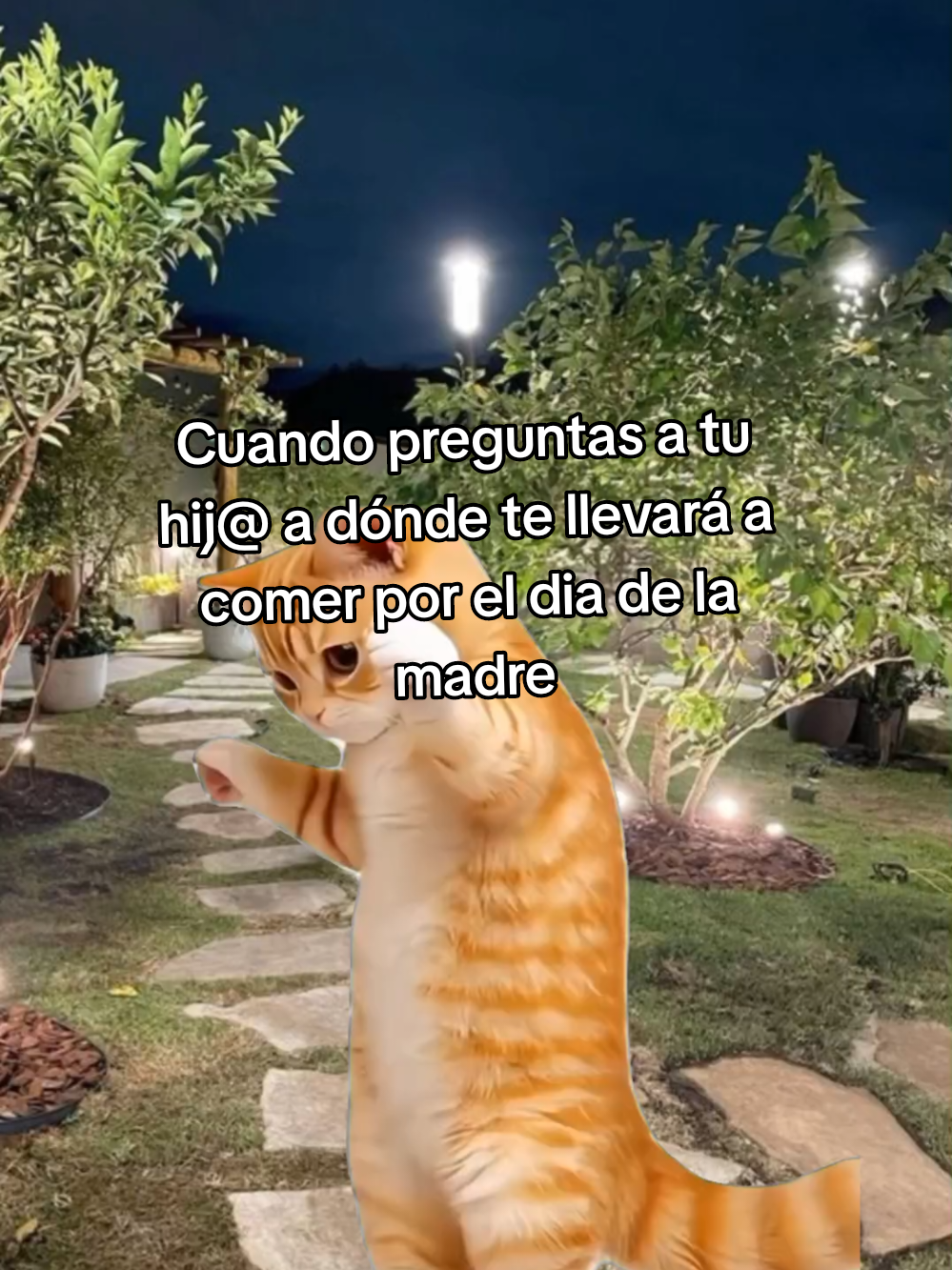 @Cinthya. BR 🦋
