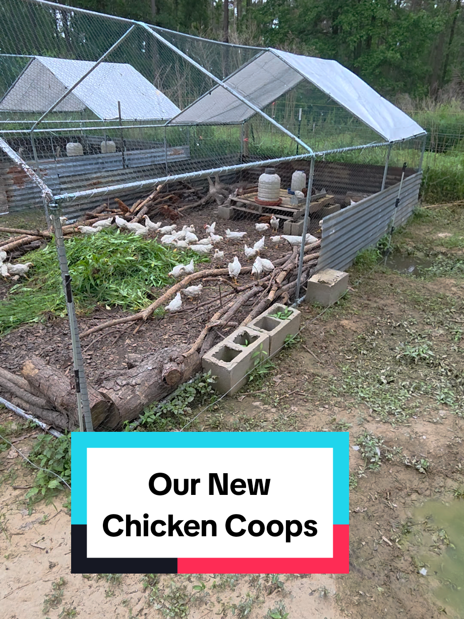 @DelaterrePermacultureFarm
